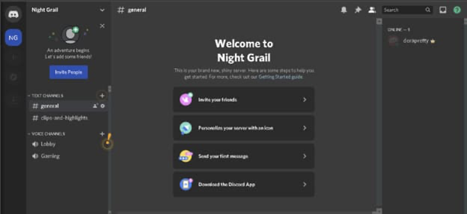 Discord's Dark (Web) Side